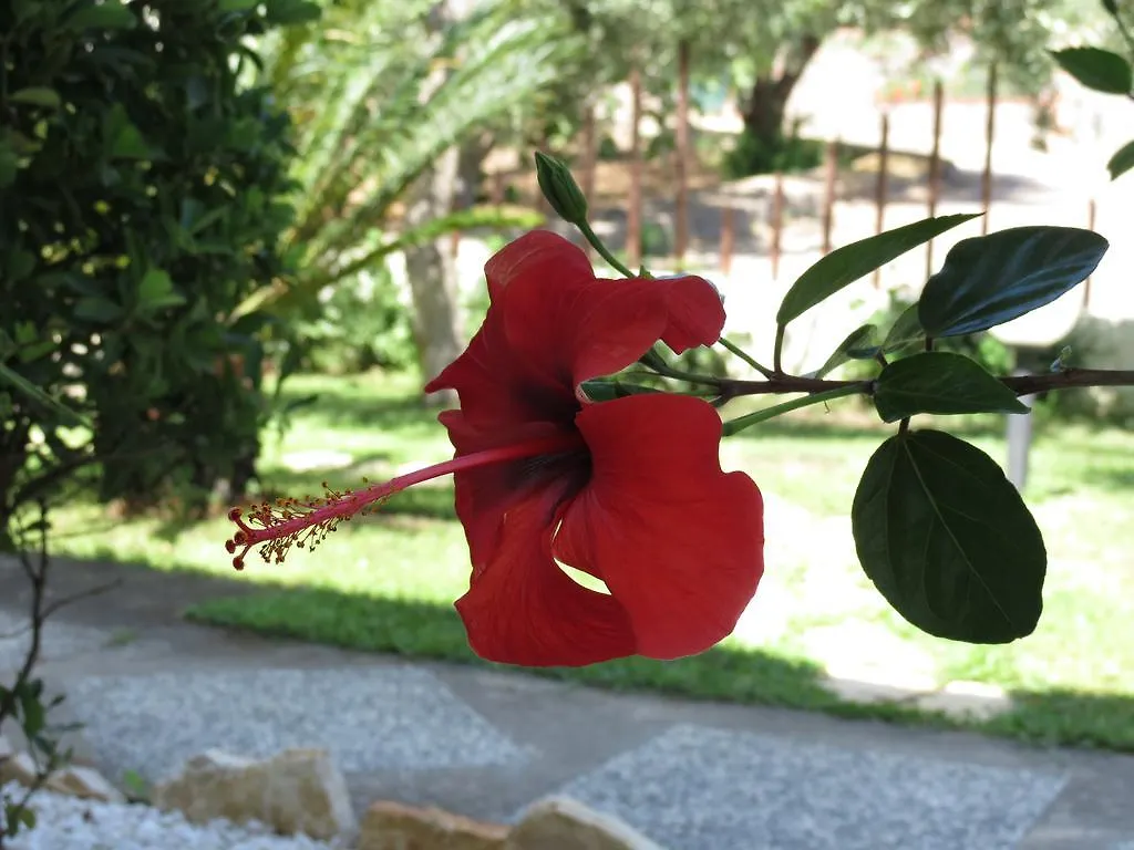 Baia Di Portu Frailis Apartment Arbatax